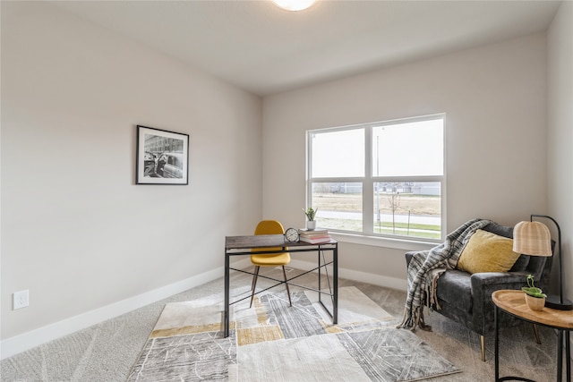 view of carpeted office space