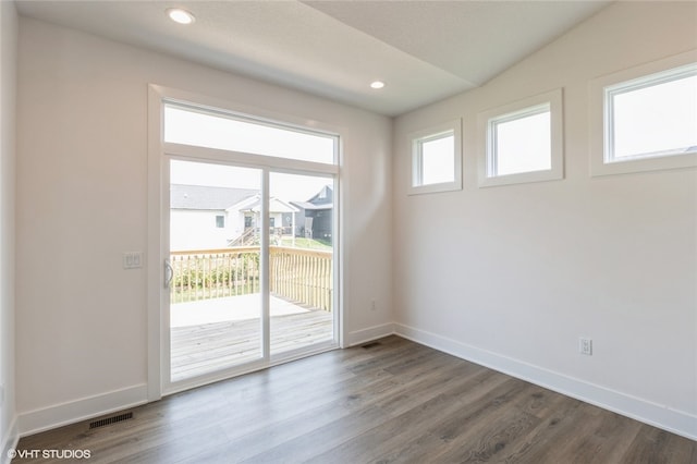 interior space featuring lofted ceiling, wood-type flooring, and a wealth of natural light