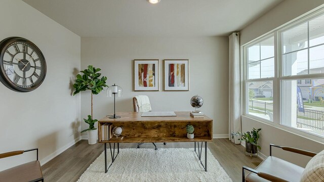 office area featuring plenty of natural light and wood-type flooring