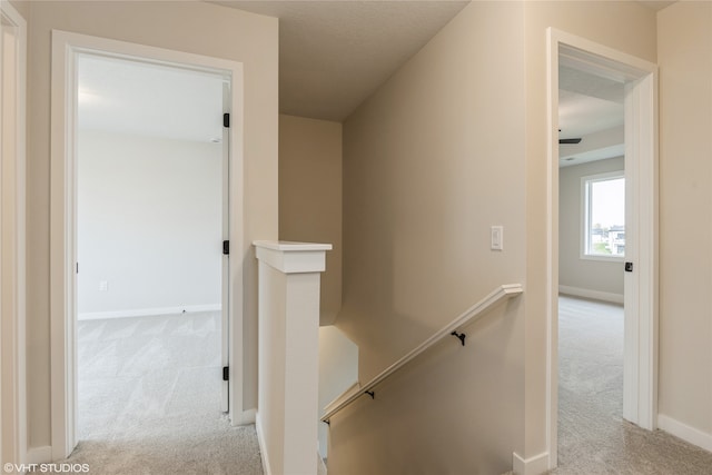 stairway with carpet floors