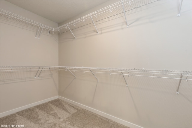 spacious closet featuring carpet floors