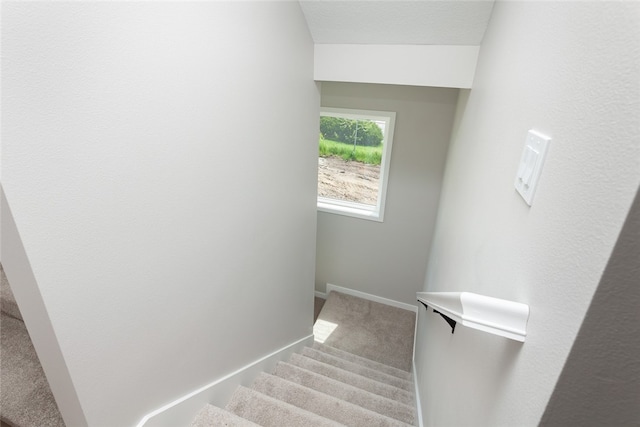 staircase with carpet floors