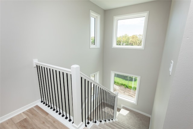 stairs with a wealth of natural light and light hardwood / wood-style floors