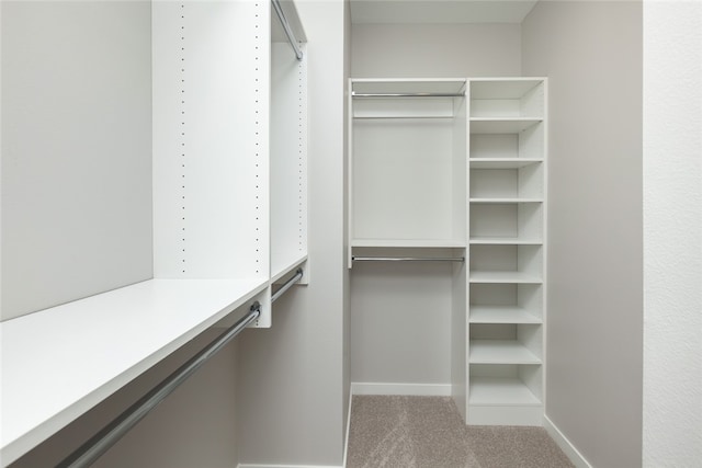 walk in closet featuring carpet floors