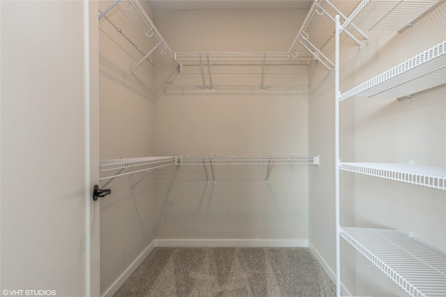 walk in closet featuring carpet