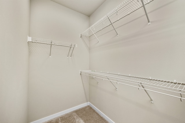 walk in closet with carpet