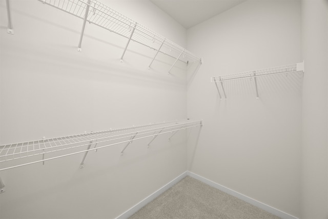 spacious closet featuring carpet flooring