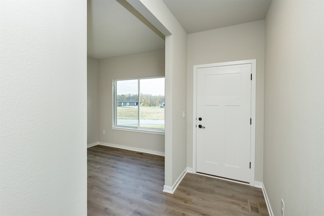 entryway featuring hardwood / wood-style floors