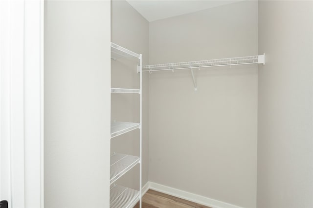 walk in closet with wood-type flooring