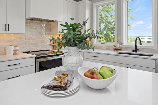 2726 Fleur Dr Unit 17, Des Moines, IA 50321 - kitchen with a sink, stainless steel electric stove, custom exhaust hood, and plenty of natural light