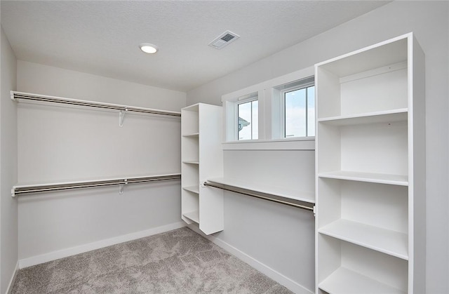 spacious closet featuring carpet and visible vents