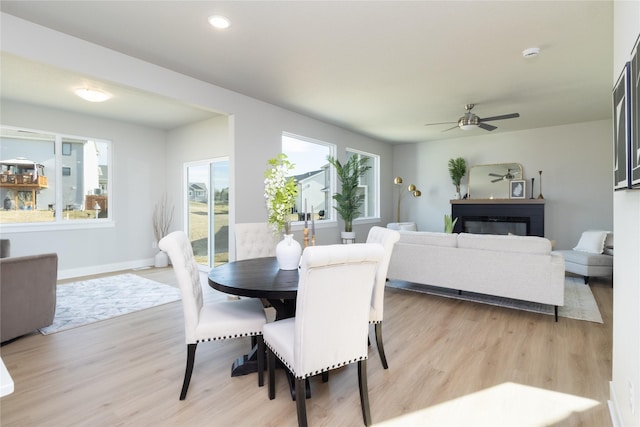 dining space featuring ceiling fan and light hardwood / wood-style floors