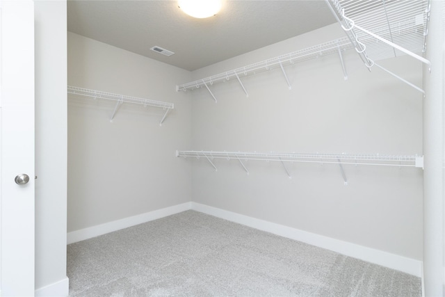 spacious closet featuring carpet floors