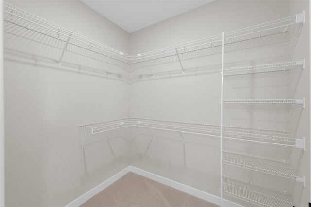 walk in closet with carpet flooring