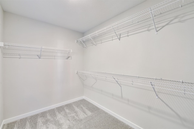 walk in closet with carpet