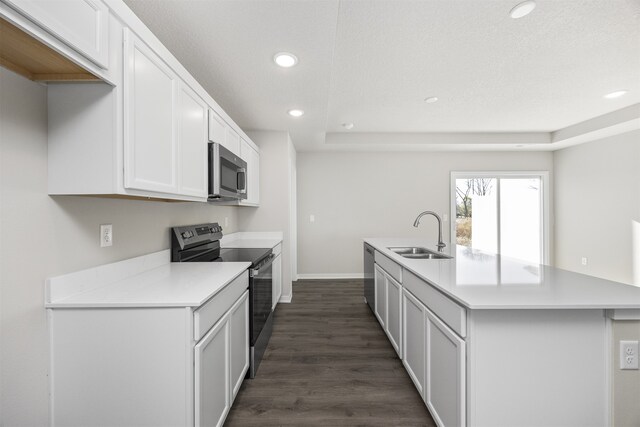 kitchen featuring appliances with stainless steel finishes, dark hardwood / wood-style flooring, sink, an island with sink, and white cabinets