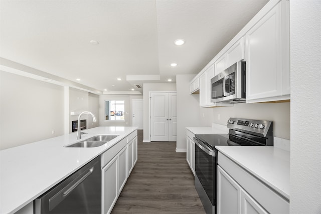 kitchen with stainless steel appliances, dark hardwood / wood-style floors, white cabinetry, and sink