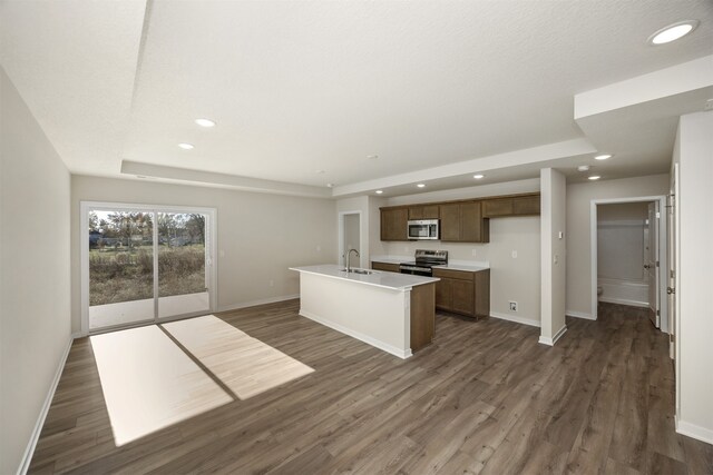 kitchen featuring appliances with stainless steel finishes, dark hardwood / wood-style floors, a raised ceiling, sink, and a kitchen island with sink