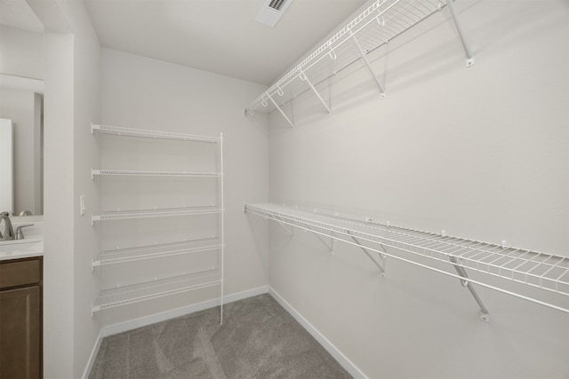 walk in closet featuring carpet and sink