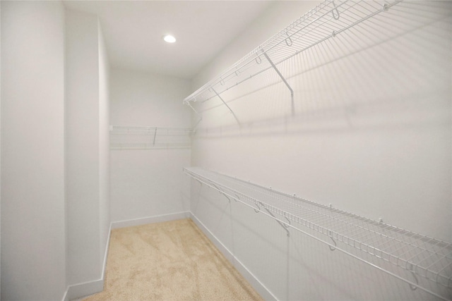 1773 Highland Cir SW, Altoona, IA 50009 - walk in closet with light colored carpet