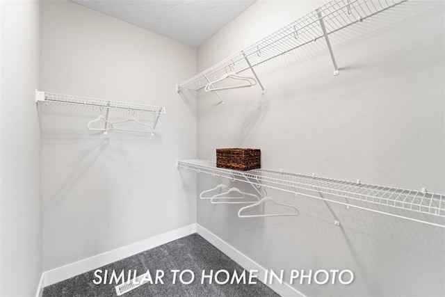 walk in closet featuring carpet