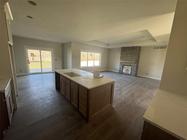 kitchen with a center island, dark hardwood / wood-style flooring, a fireplace, and a tray ceiling