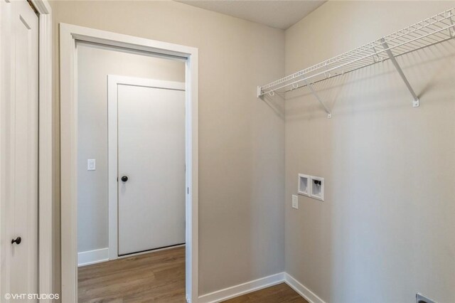 laundry room with washer hookup and wood-type flooring