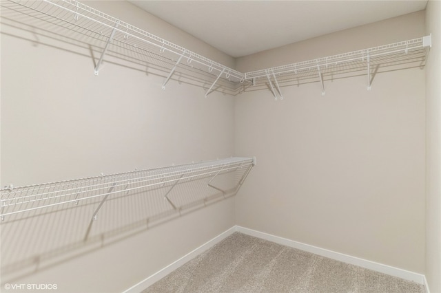 spacious closet with carpet