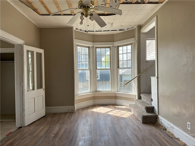 interior space featuring ceiling fan and dark hardwood / wood-style flooring