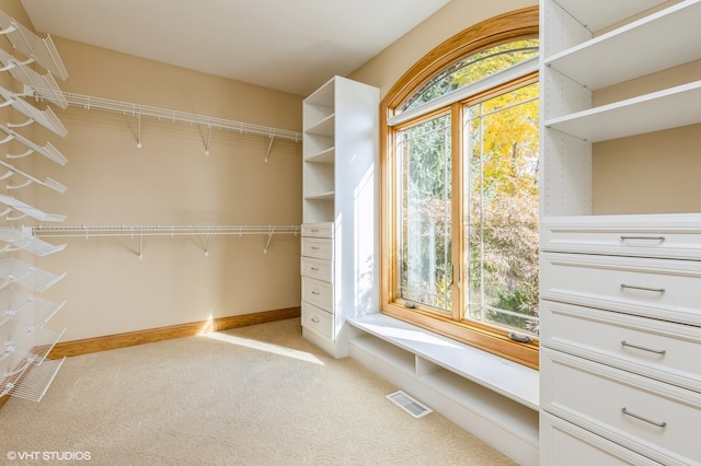 spacious closet featuring light colored carpet