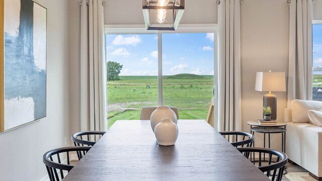 dining space with a wealth of natural light