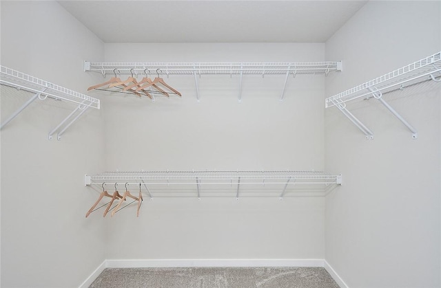 spacious closet featuring carpet floors