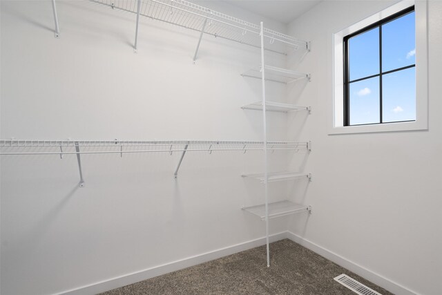 walk in closet with carpet floors