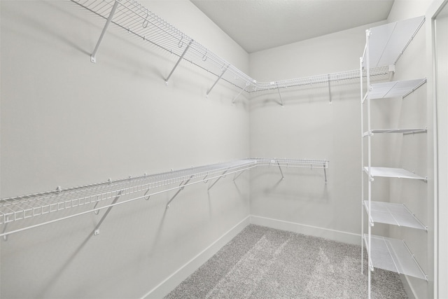 walk in closet with carpet floors