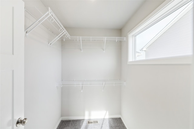 spacious closet with carpet floors