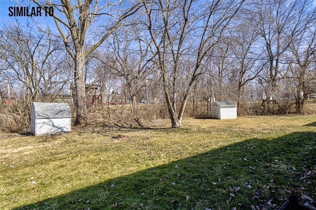 view of yard with a storage unit