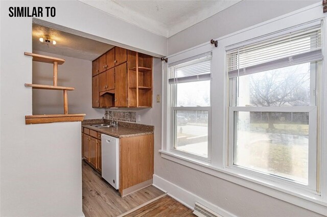 kitchen with dishwasher, sink, plenty of natural light, and light hardwood / wood-style floors