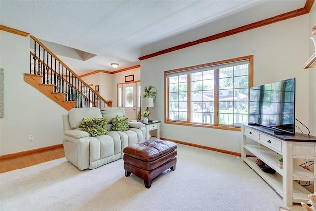 carpeted living room with crown molding