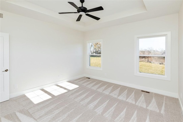 carpeted spare room featuring a raised ceiling