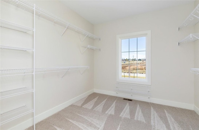 walk in closet featuring carpet floors