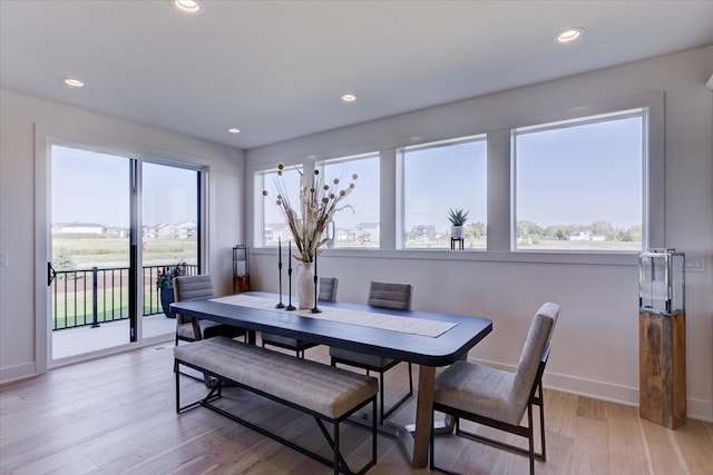 dining space featuring light hardwood / wood-style floors