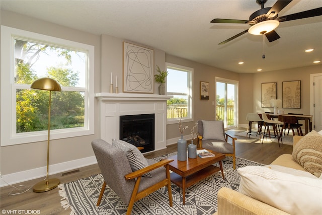 living room featuring plenty of natural light, hardwood / wood-style flooring, and ceiling fan