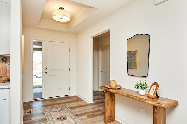 foyer entrance featuring a tray ceiling and hardwood / wood-style floors