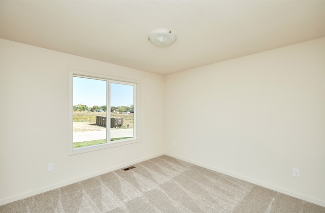 spare room featuring light carpet