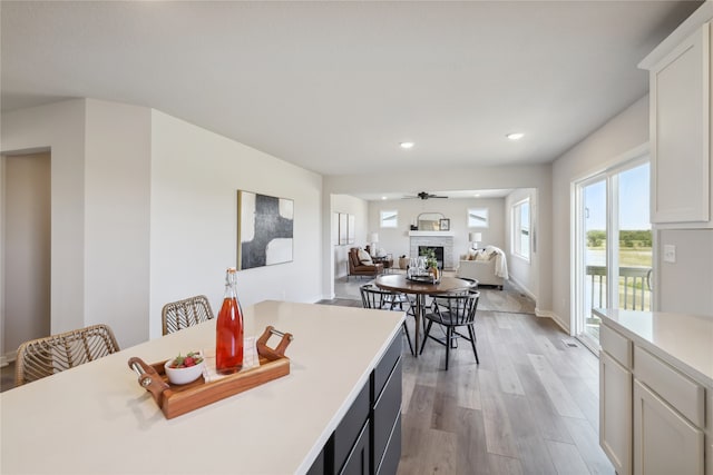 interior space with light hardwood / wood-style floors and ceiling fan