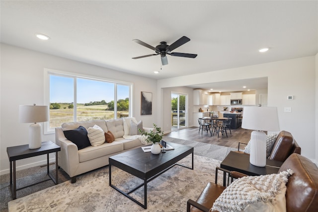 living room with ceiling fan and hardwood / wood-style flooring