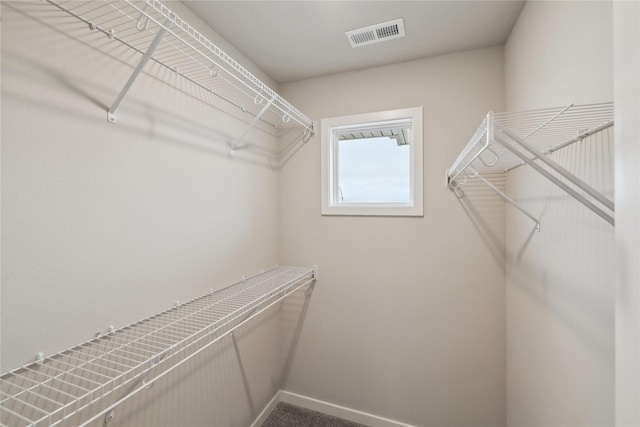 1355 Locust St, Waukee, IA 50263 - view of walk in closet