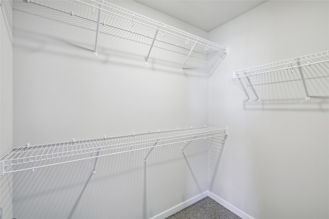 spacious closet with carpet