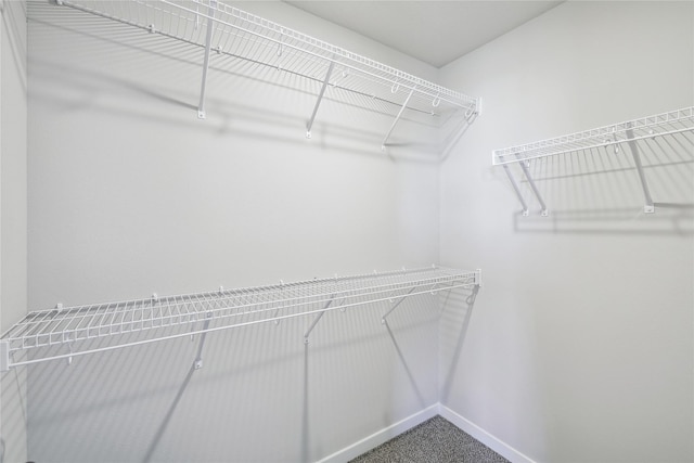 walk in closet with carpet floors