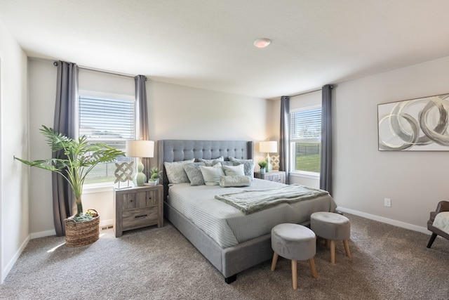 bedroom featuring carpet and multiple windows